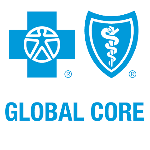 blue cross blue shield global